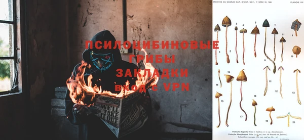 соль курить ск Туринск