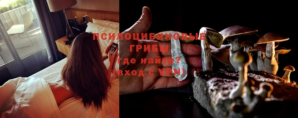 мескалин Алексин
