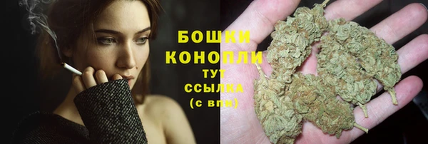 ПСИЛОЦИБИНОВЫЕ ГРИБЫ Тында