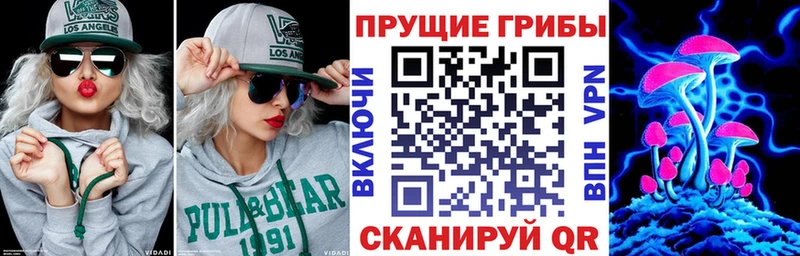 Купить закладки  Воскресенск  Галлюциногенные грибы GOLDEN TEACHER 